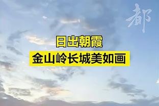 雷竞技raybet安卓版下载截图3